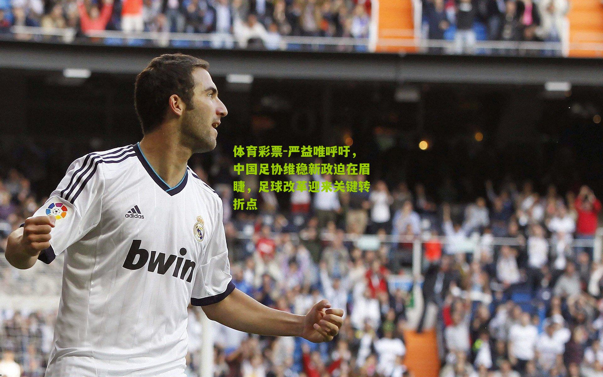 严益唯呼吁，中国足协维稳新政迫在眉睫，足球改革迎来关键转折点